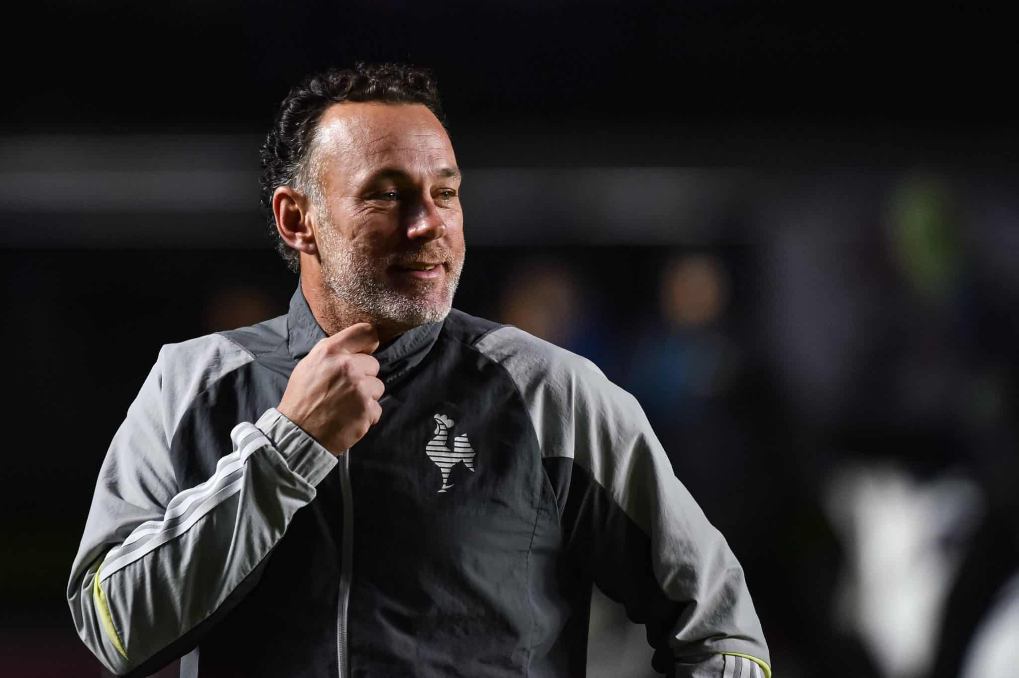 Milito viveu reta final de trabalho melanc&oacute;lica no Galo