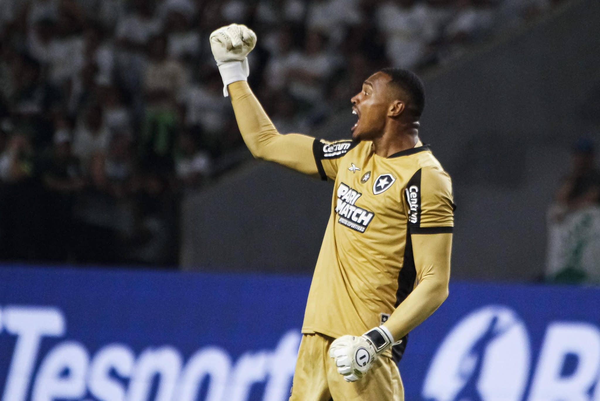 SAO PAULO, SP, 26.11.2024-PALMEIRAS (SP) X BOTAFOGO (RJ)