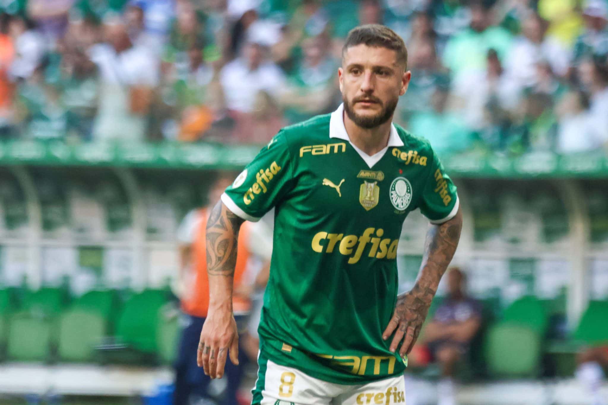 Z&eacute; Rafael vai ou fica no Palmeiras? Como est&aacute; a situa&ccedil;&atilde;o do volante no momento