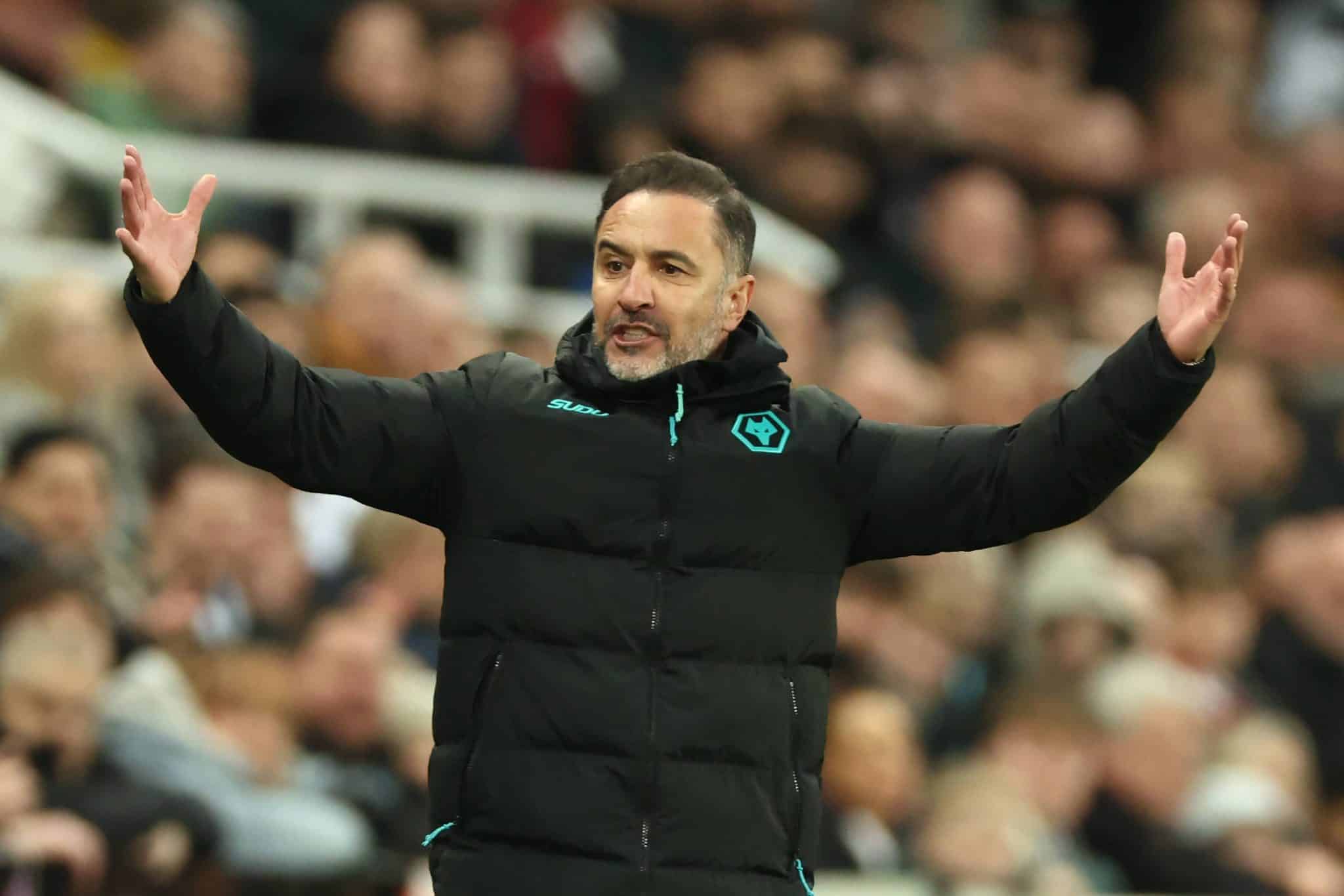 V&iacute;tor Pereira, t&eacute;cnico do Wolverhampton 