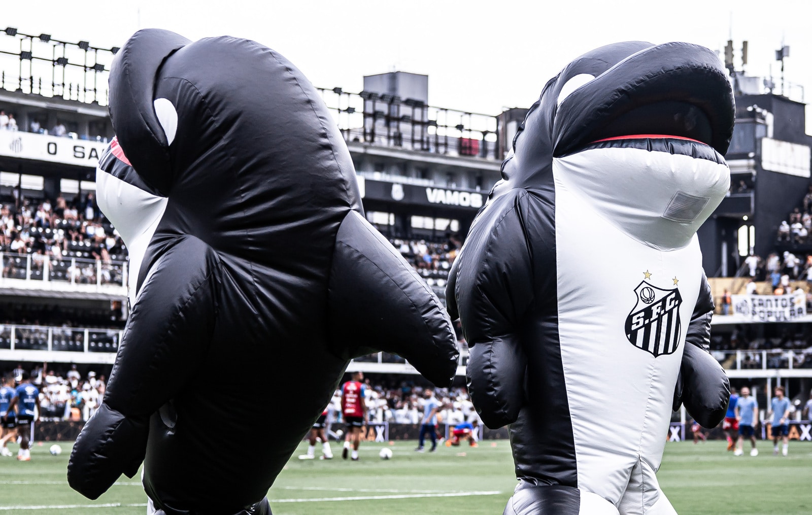 Com novos planos, Santos aumenta valores e atualiza benef&iacute;cios do S&oacute;cio Rei