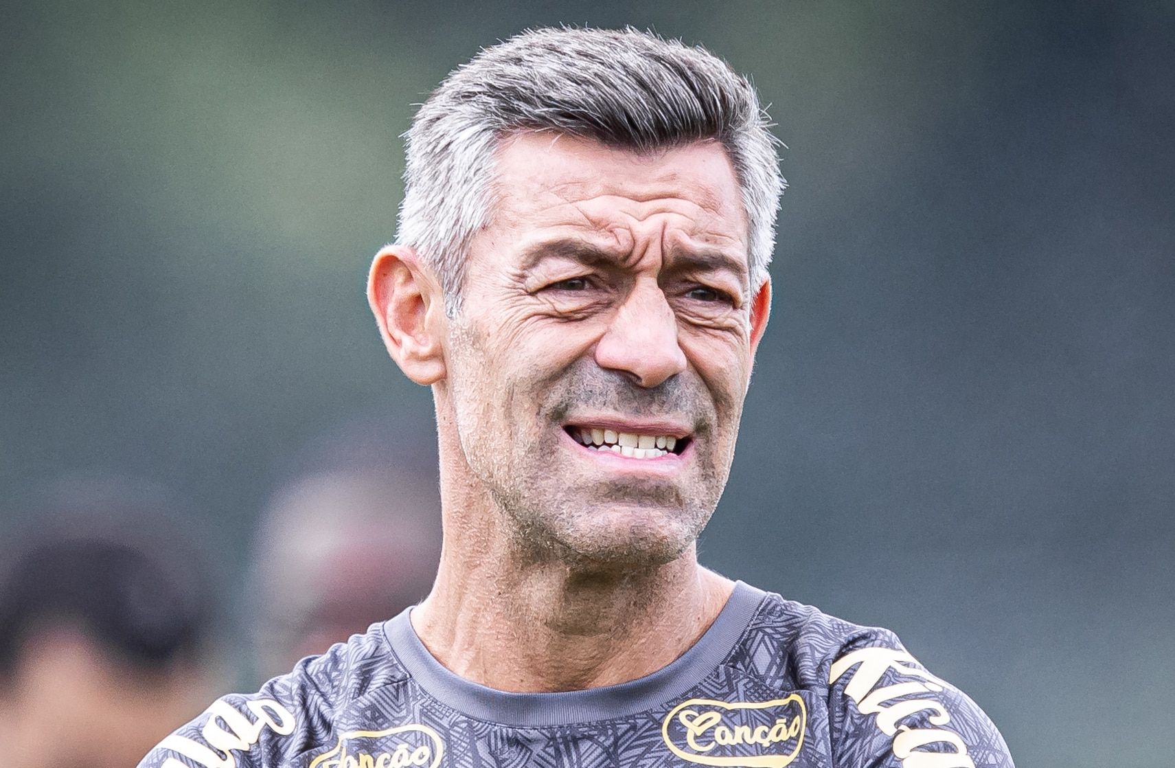 Ap&oacute;s fala de Caixinha, respons&aacute;vel por gramado do Allianz explica aus&ecirc;ncia de grama sint&eacute;tica na Copa