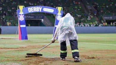 N&atilde;o &eacute; barro: O que &eacute; a &lsquo;mancha&rsquo; marrom no gramado do Allianz Parque?