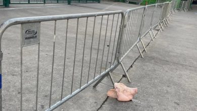 Nova cabe&ccedil;a de Porco evoca fantasmas do D&eacute;rbi que mudou tudo no Palmeiras