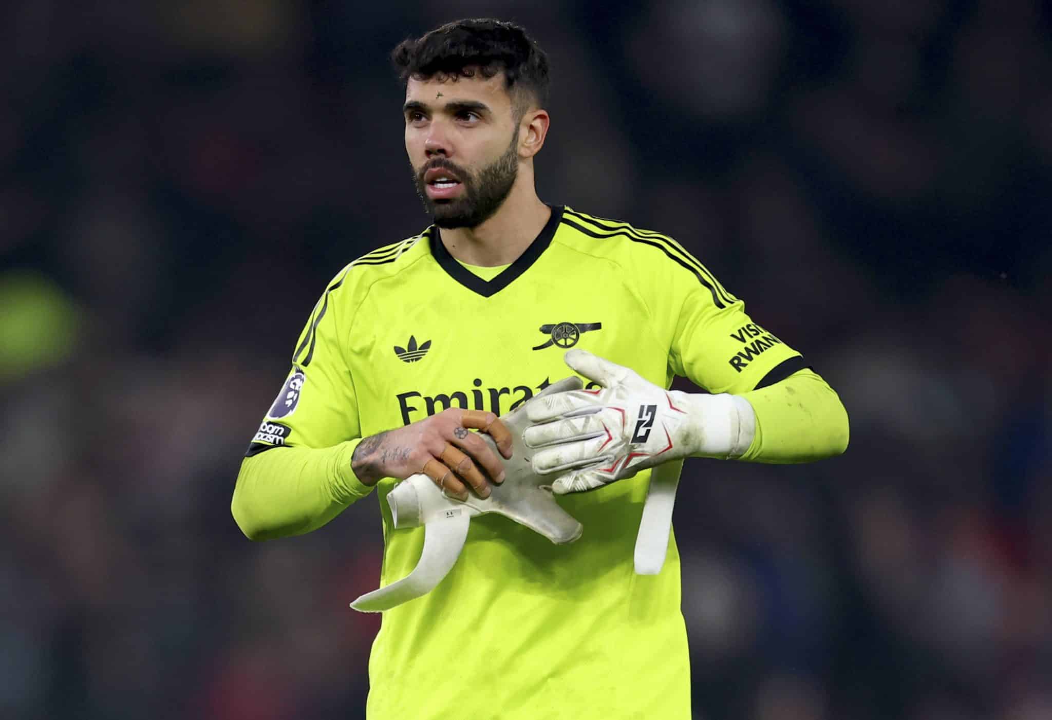 O goleiro David Raya, do Arsenal