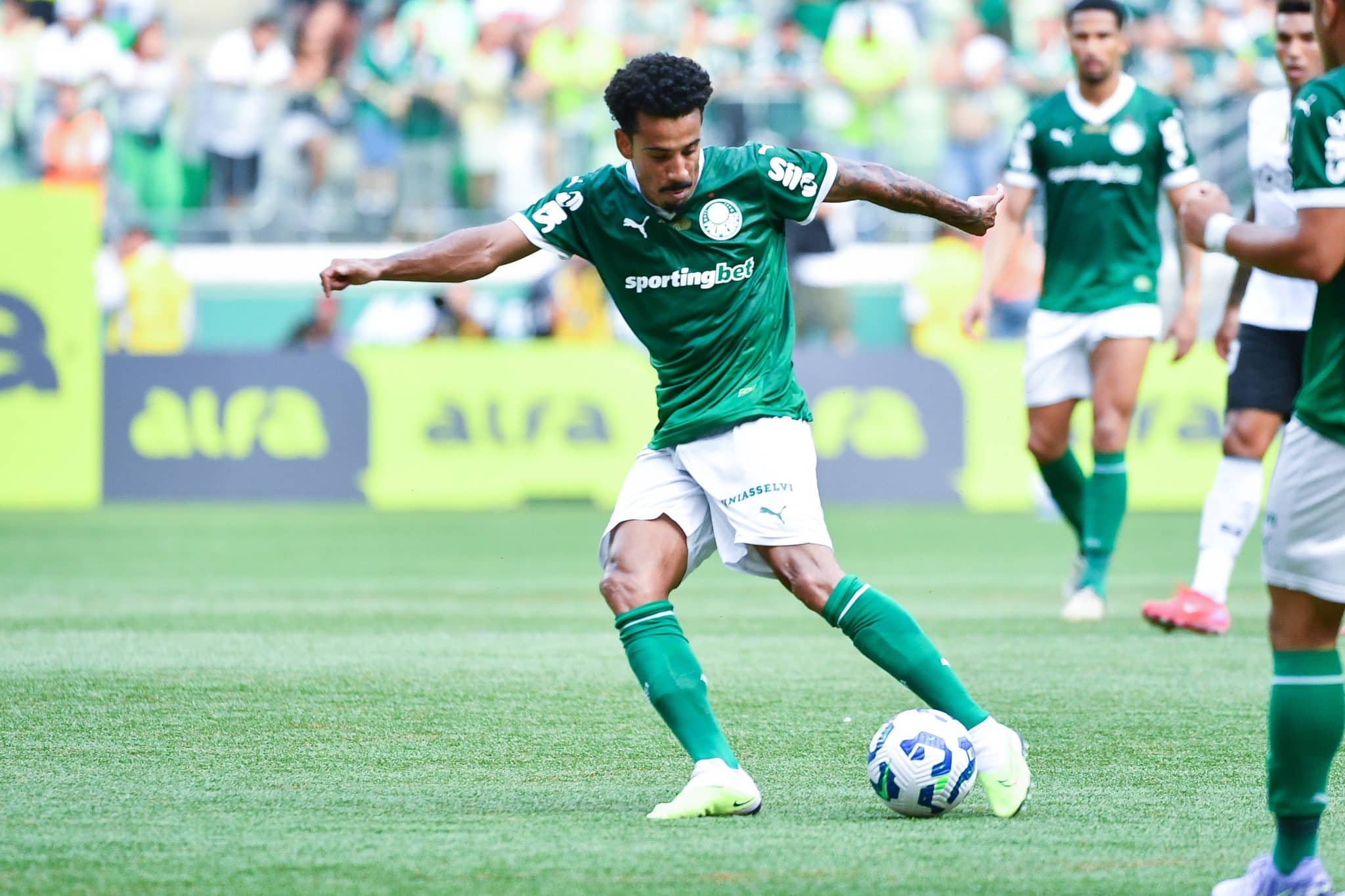 Palmeiras x Botafogo