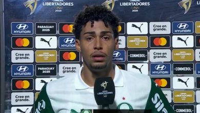 Palmeiras, Libra e LFU acionam a Fifa por a&ccedil;&otilde;es mais fortes contra o racismo