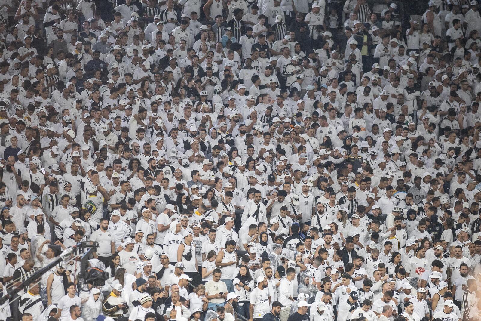Torcida do Santos na Neo Qu&iacute;mica Arena