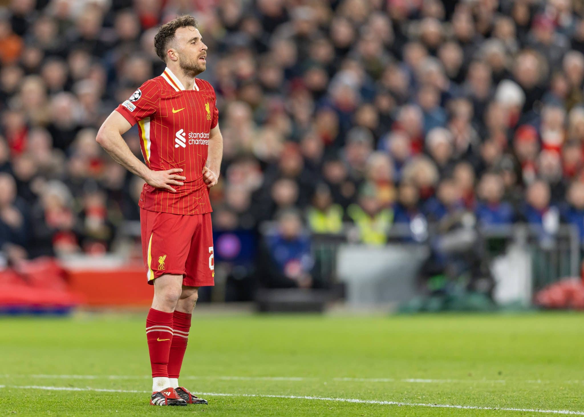 Diogo Jota n&atilde;o vive sua melhor temporada no Liverpool Foto: (Imago)