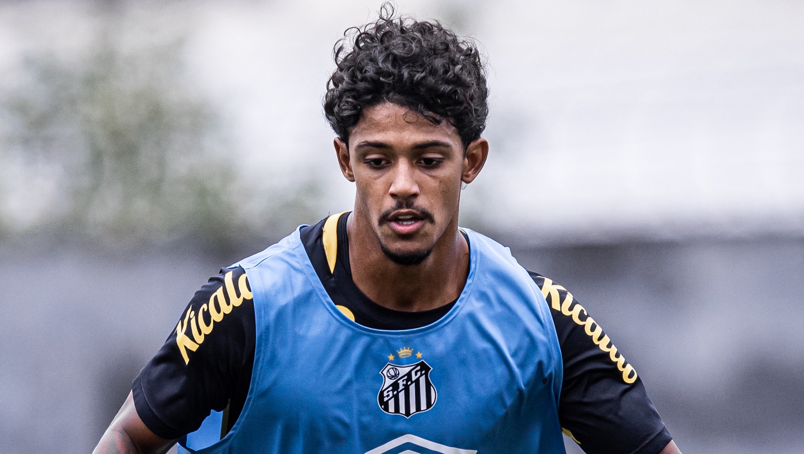 Por que o Santos escolheu prorrogar o contrato de Andrey Quintino?