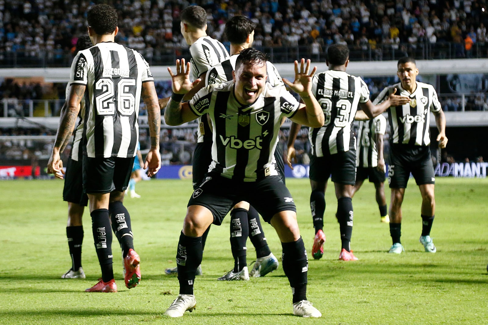 Artur fez o gol do Botafogo contra o Santos (Foto: Twitter @Botafogo)