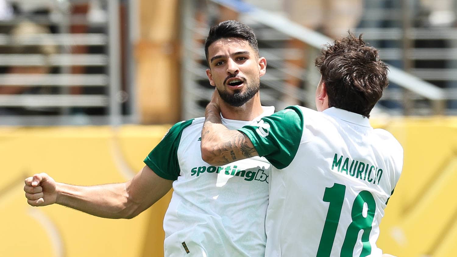 Flaco Lopez Maur&iacute;cio Palmeiras