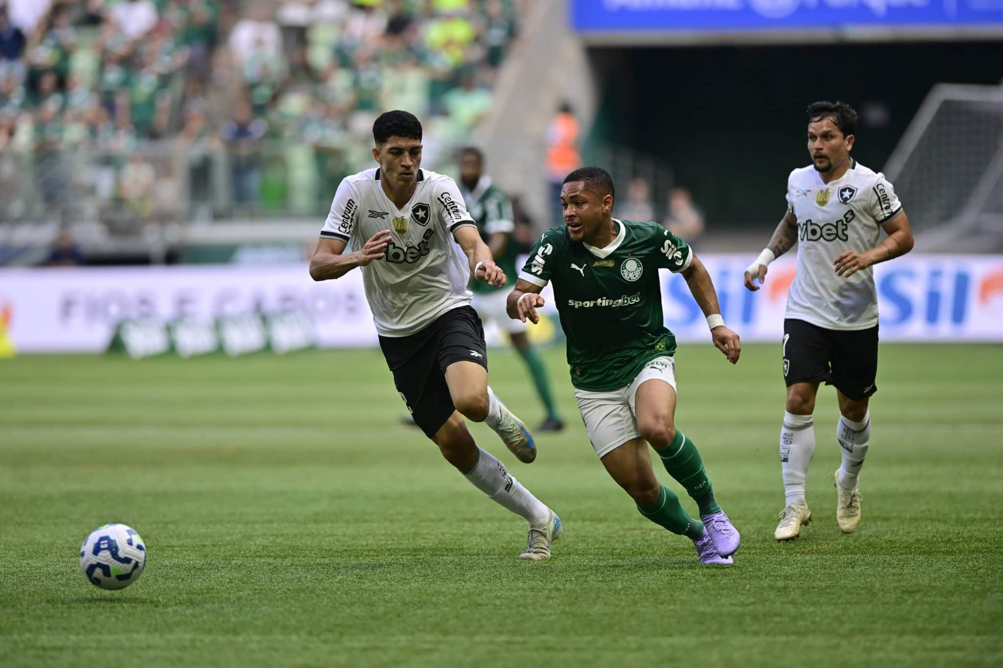 Match between PALMEIRAS X BOTAFOGO for the Brazilian Championship