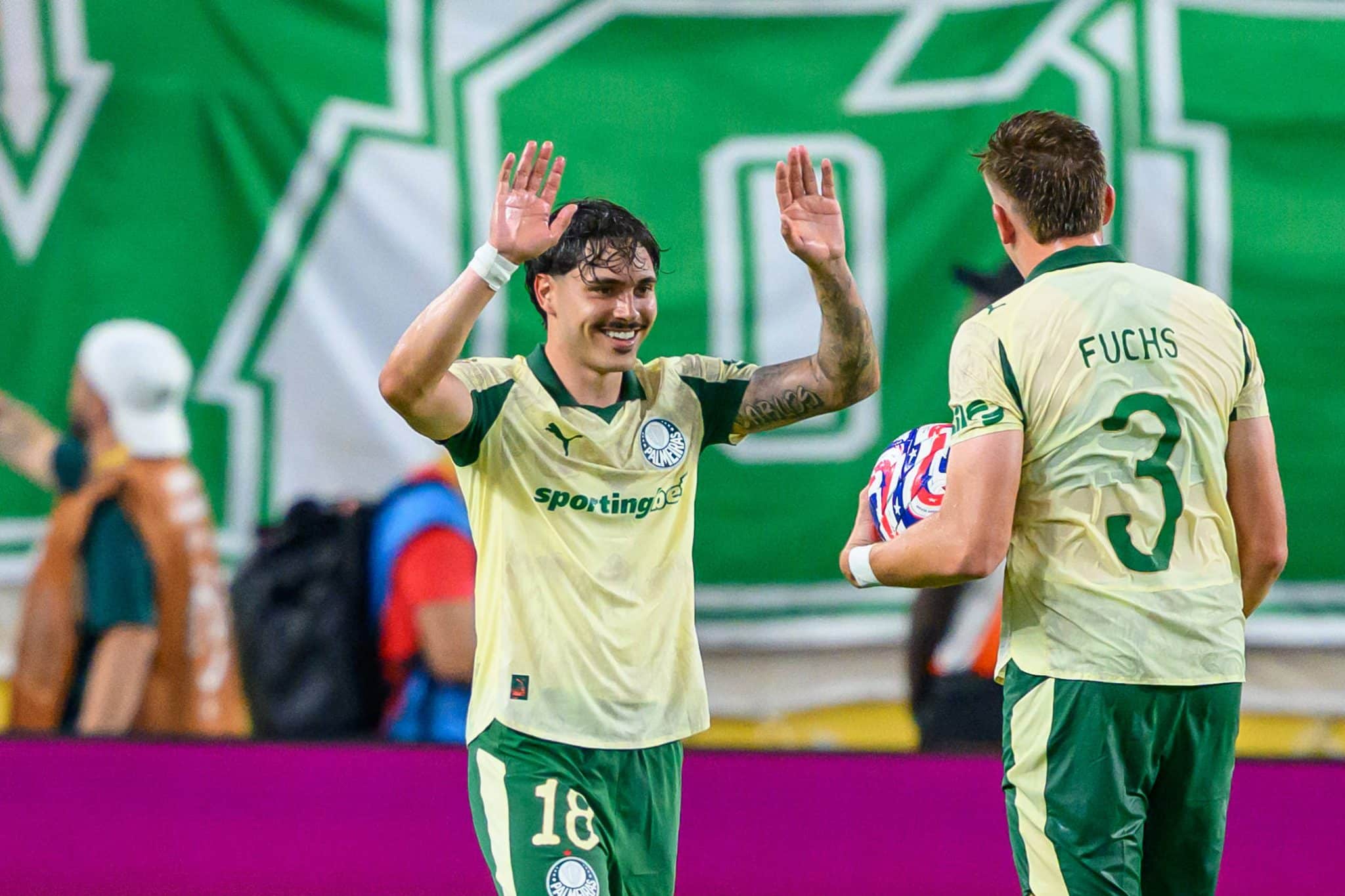 &lsquo;O Palmeiras &eacute; o favorito contra o Botafogo, cada jogo tem a sua hist&oacute;ria&rsquo;