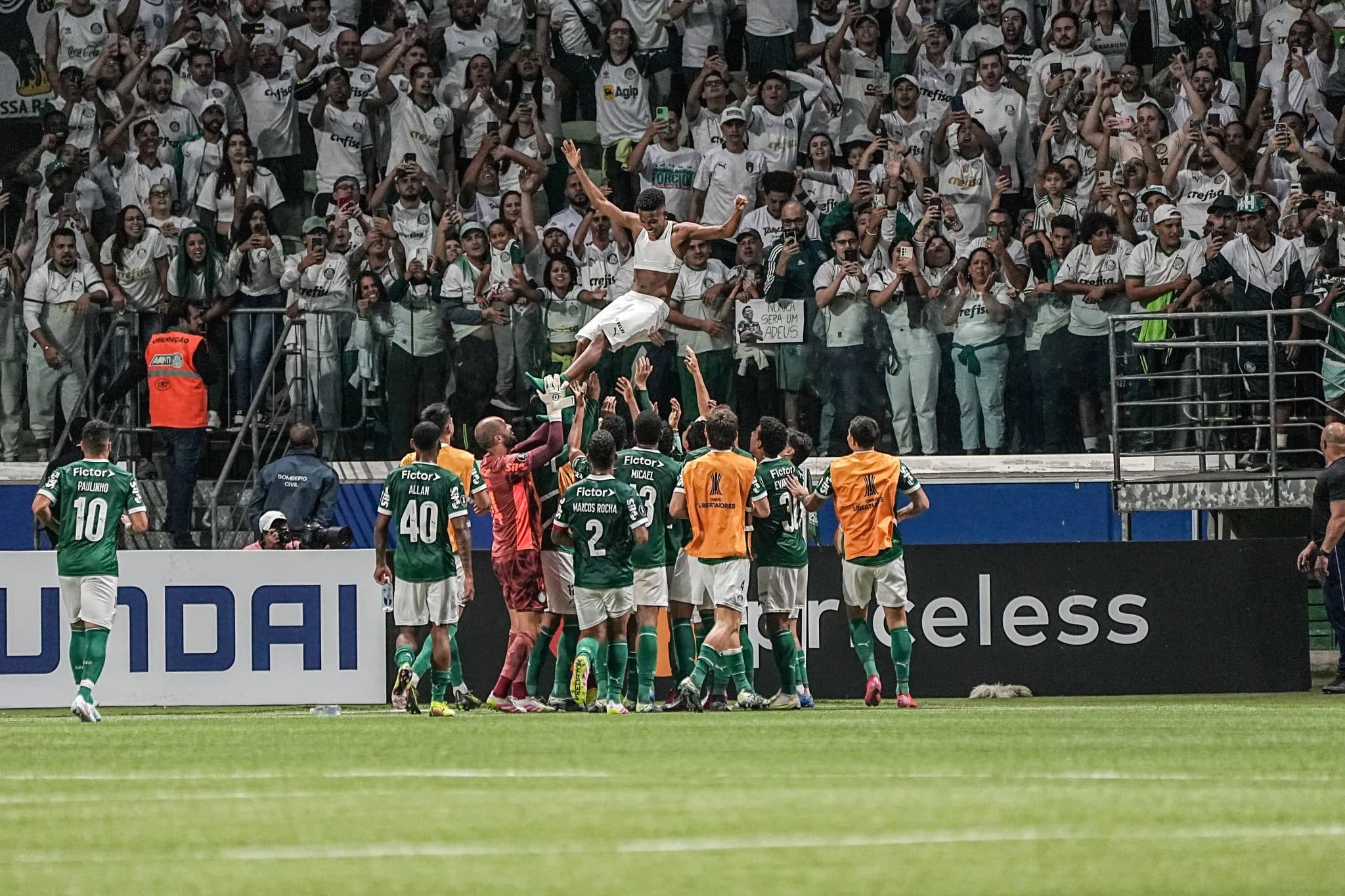 Palmeiras Libertadores Est&ecirc;v&atilde;o
