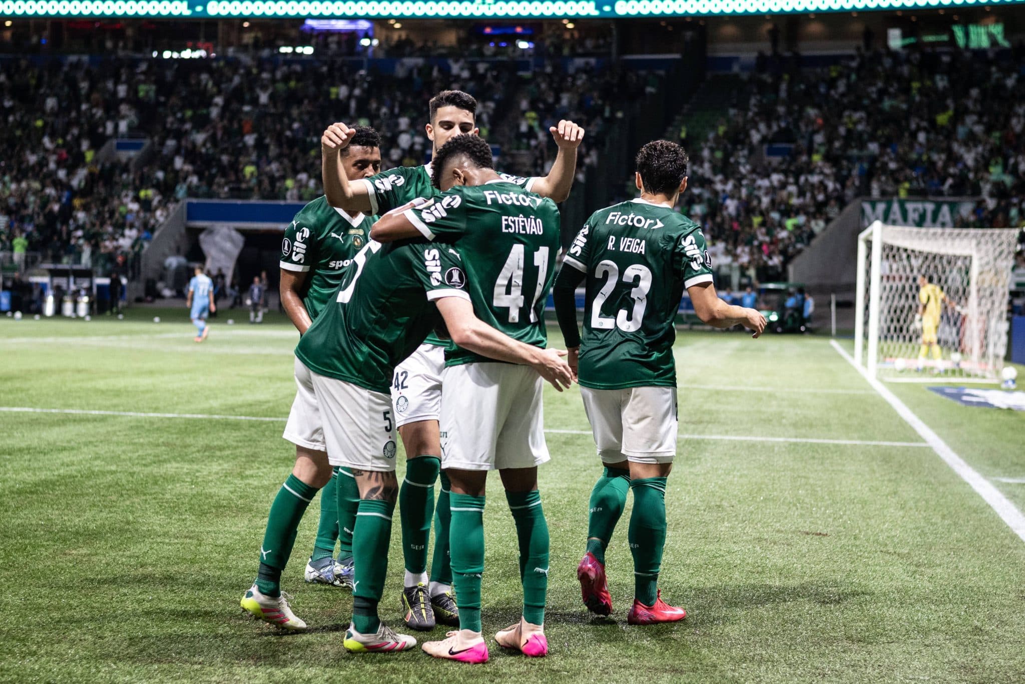 Elenco do Palmeiras celebra gol na Libertadores