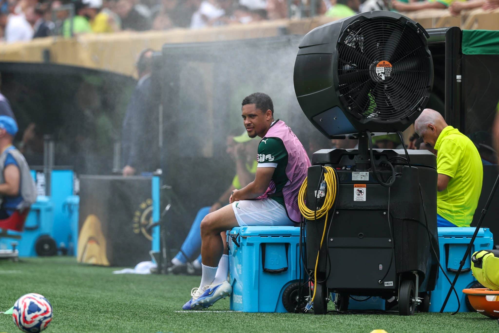 Vitor Roque ap&oacute;s ser substitu&iacute;do em Palmeiras x Botafogo 