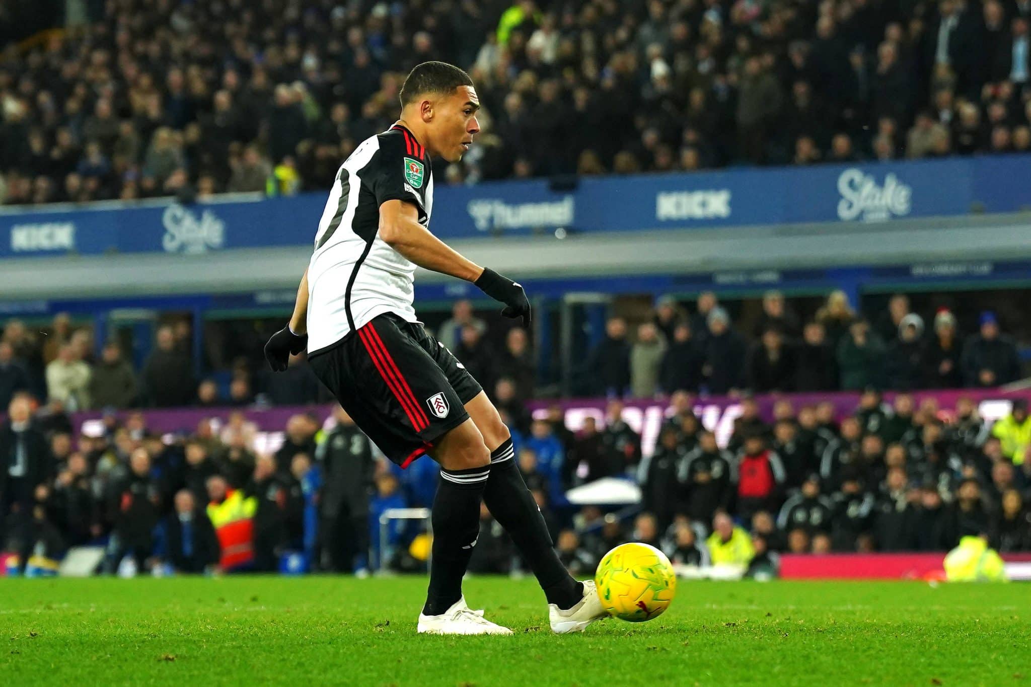 Carlos Vinicius Fulham