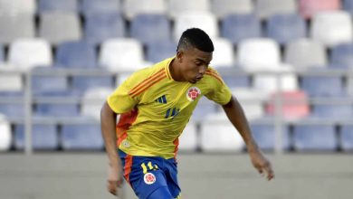 Jordan Barrera no Botafogo: Como jornalista colombiano analisa nova promessa alvinegra