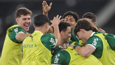 N&atilde;o deu muito bem para entender como, mas Palmeiras bate o Botafogo e segue na cola do Fla