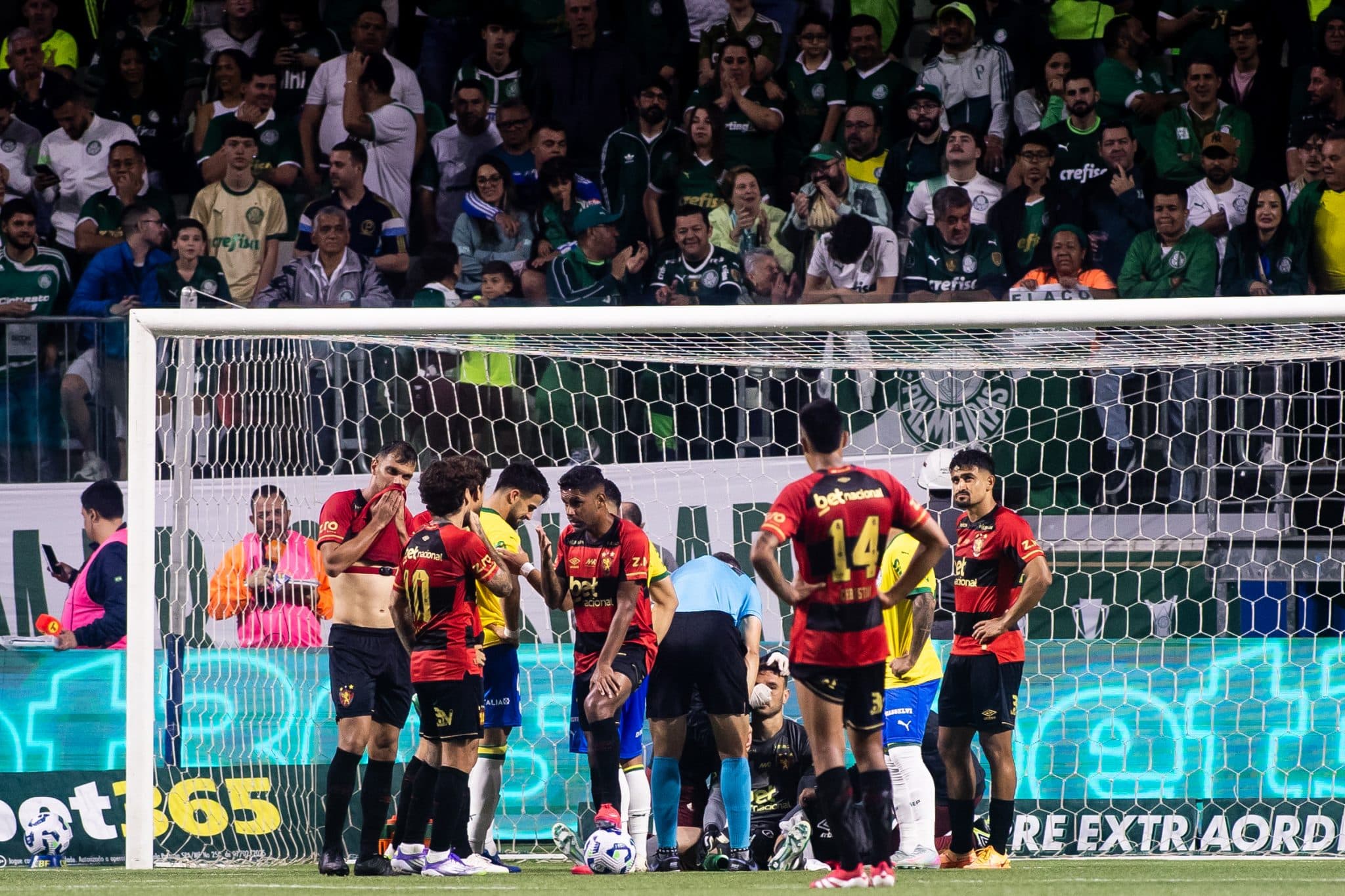 sport-palmeiras-brasileirao