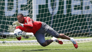 Palmeiras pode ter atra&ccedil;&otilde;es in&eacute;ditas contra o Fortaleza pelo Brasileiro. Mas precisa?