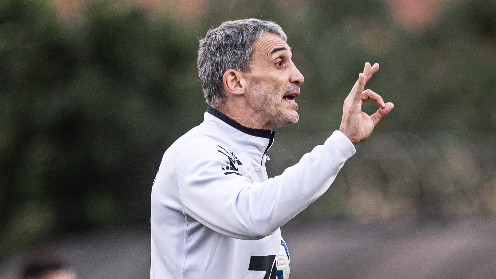 LDU nem imagina, mas aumentou a confian&ccedil;a do Santos para o cl&aacute;ssico com o S&atilde;o Paulo