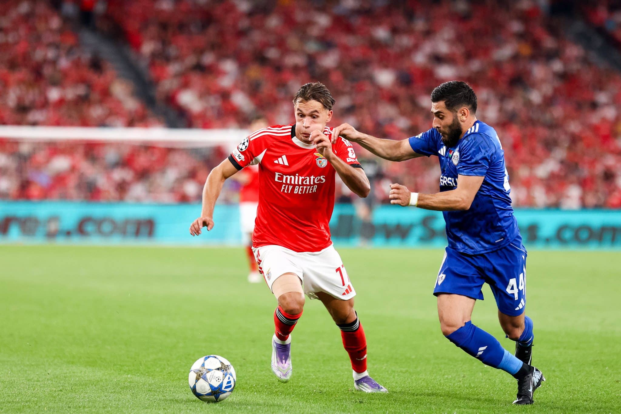 Benfica x Qarabag - Champions League