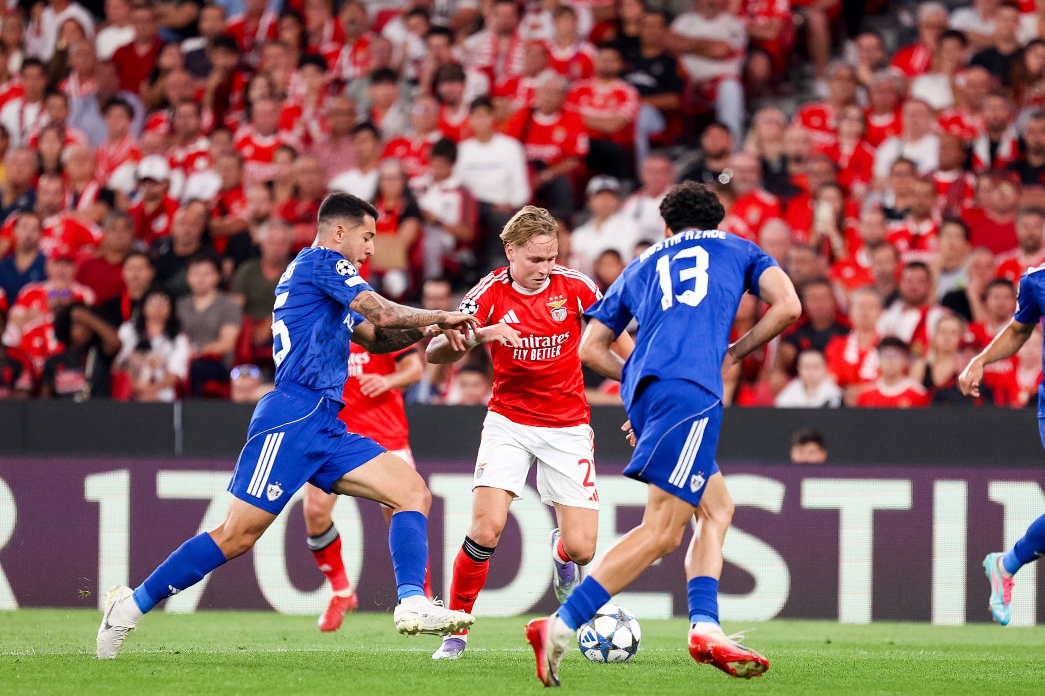 Benfica x Qarabag - Champions League