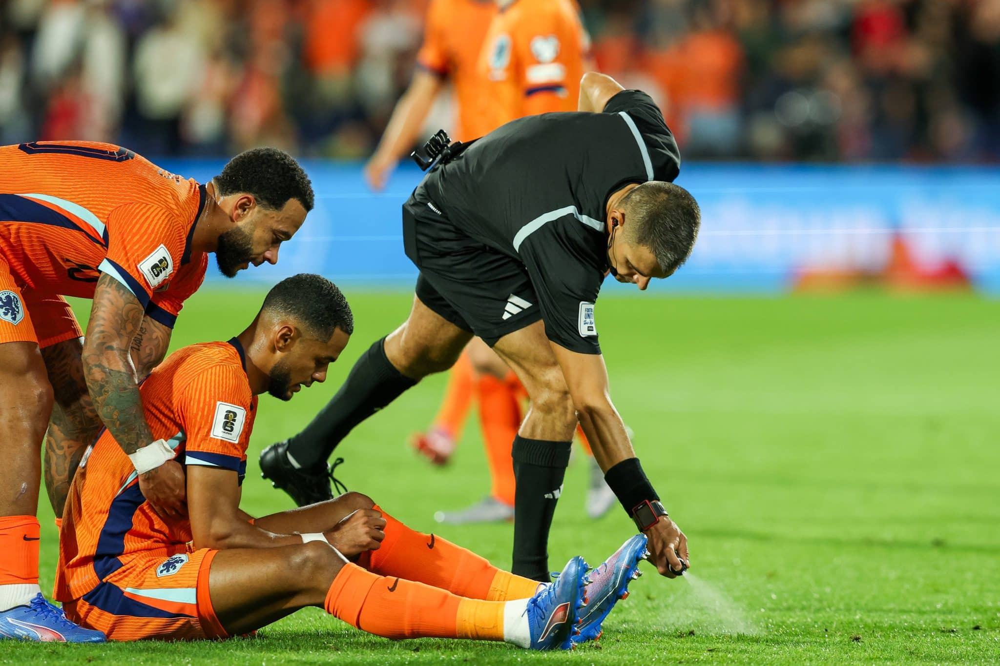 Memphis e Gakpo Holanda