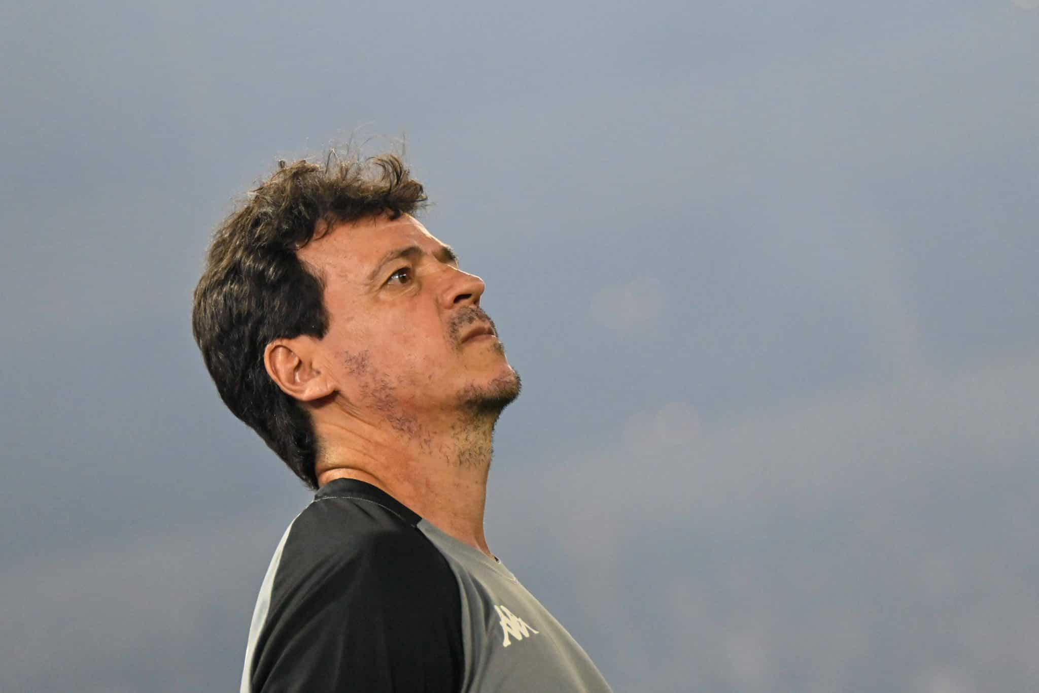 Fernando Diniz, t&eacute;cnico do Vasco (Foto: Imago)