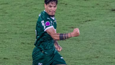 Gol de G&oacute;mez contra o Flamengo &eacute; mais importante para o Palmeiras do que parece