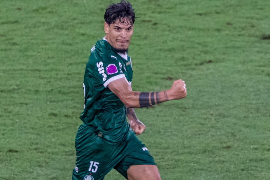 Gol de G&oacute;mez contra o Flamengo &eacute; mais importante para o Palmeiras do que parece