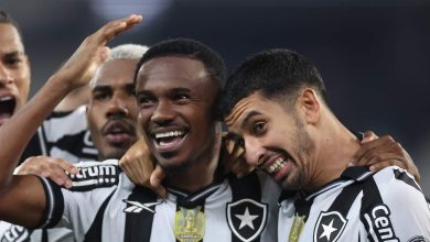 Mais do que tr&ecirc;s pontos: Botafogo &eacute; liderado contra o Bahia por quem buscava reden&ccedil;&atilde;o