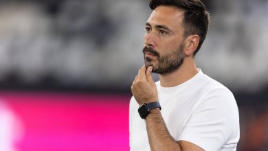 Ancelotti: &lsquo;Esse &eacute; um objetivo vital para o futuro do Botafogo&rsquo;