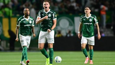 Noite mágica! 5 motivos que fazem a remontada do Palmeiras entrar na história da Libertadores