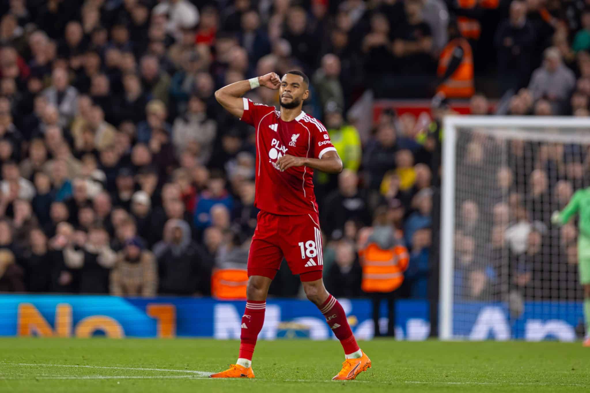 Cody Gakpo comemora gol em Liverpool x Manchester United (Foto: Imago)