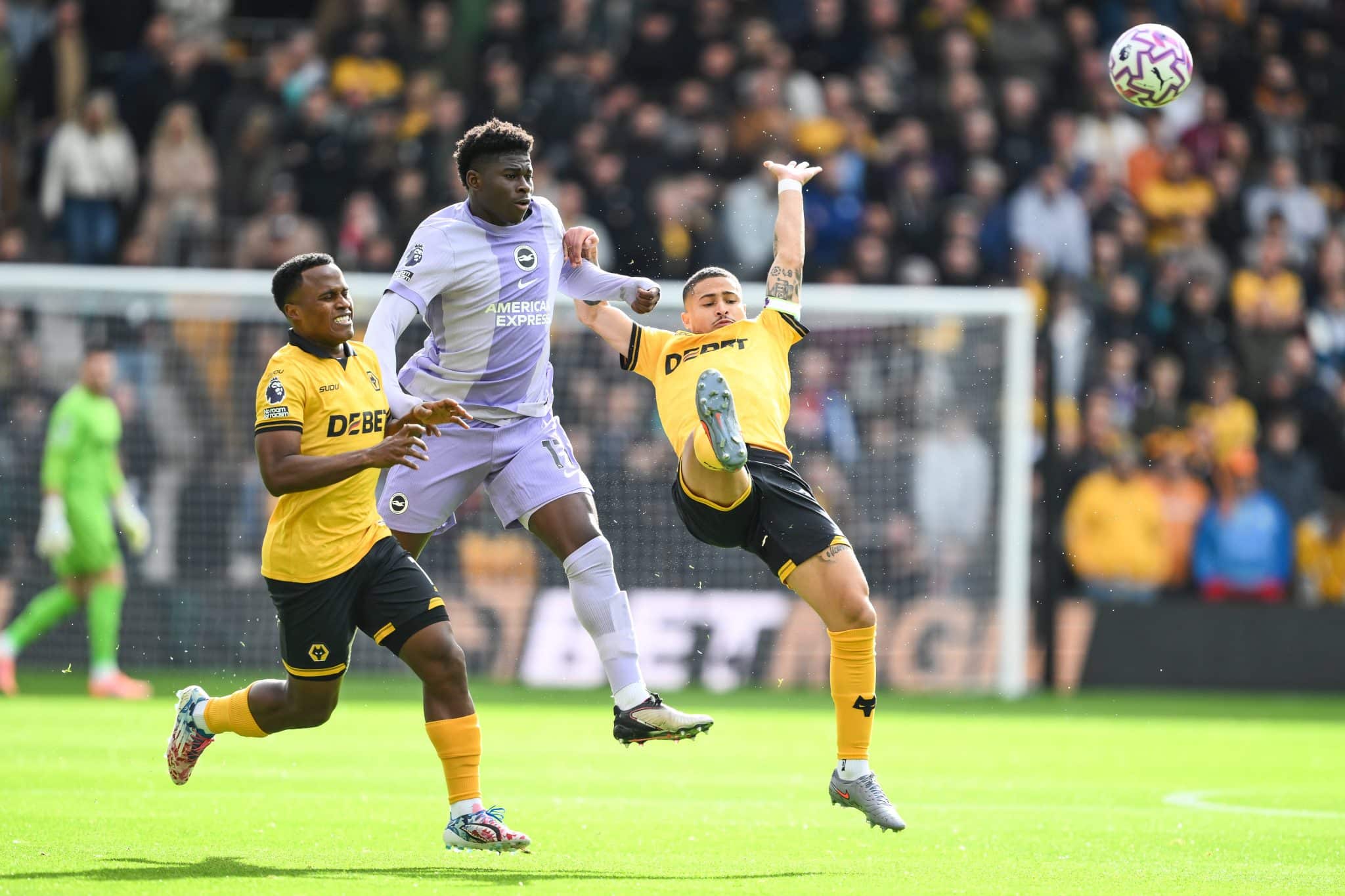 Wolverhampton Wanderers v Brighton and Hove Albion &ndash; Premier League &ndash; Molineux