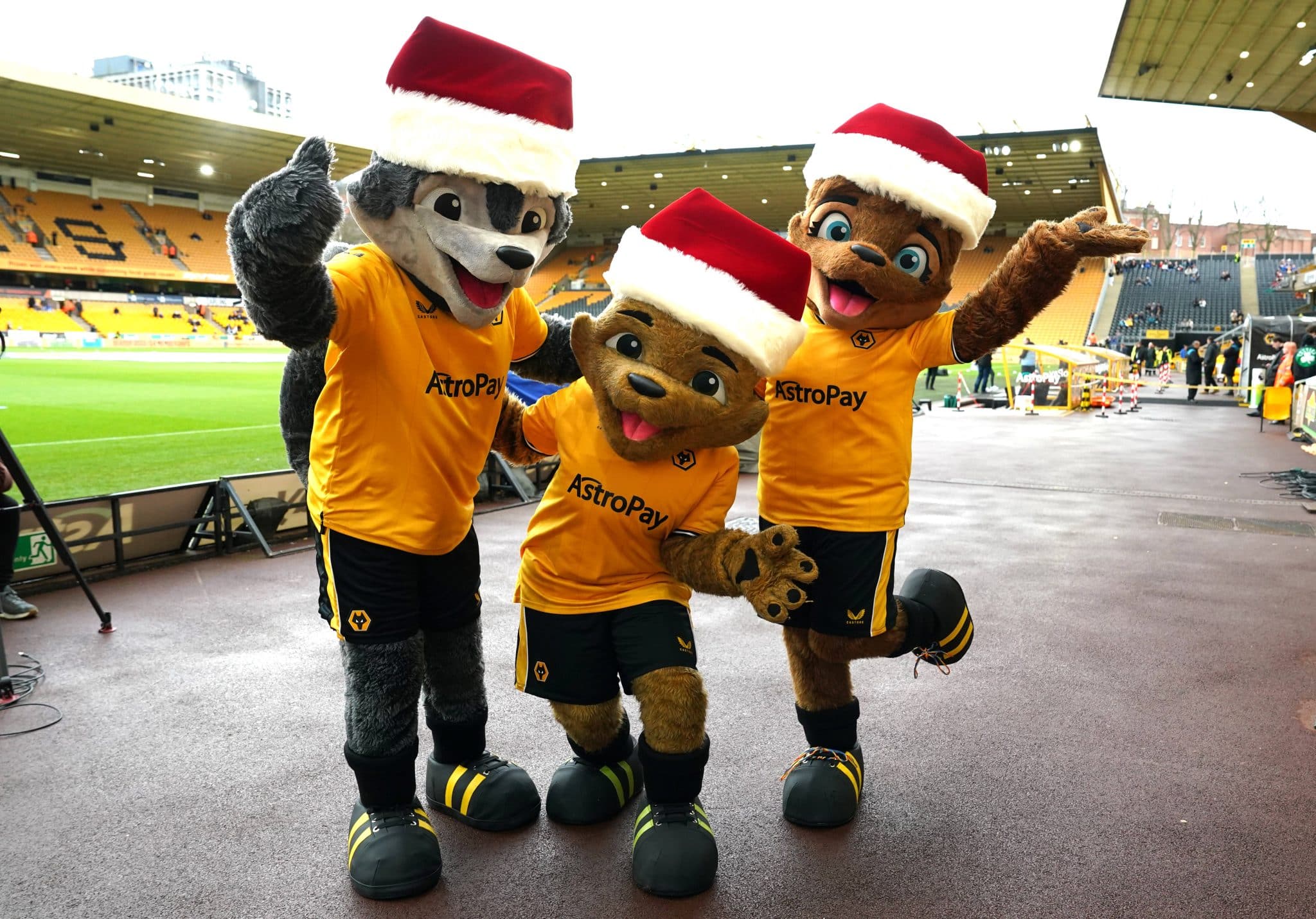 Mascotes do Wolverhampton vestidos com gorro de natal