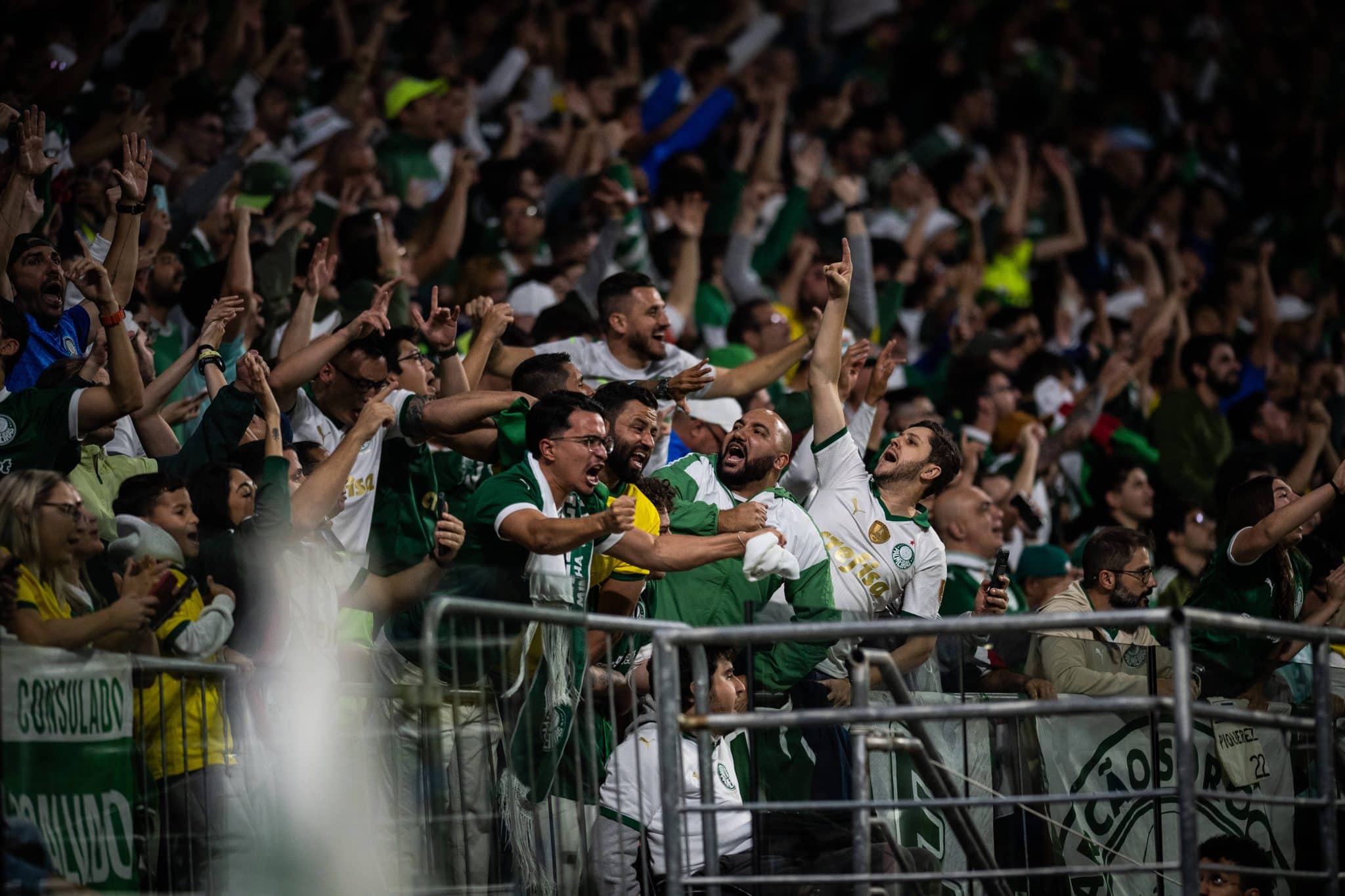 Torcida do Palmeiras celebra classifica&ccedil;&atilde;o hist&oacute;rica