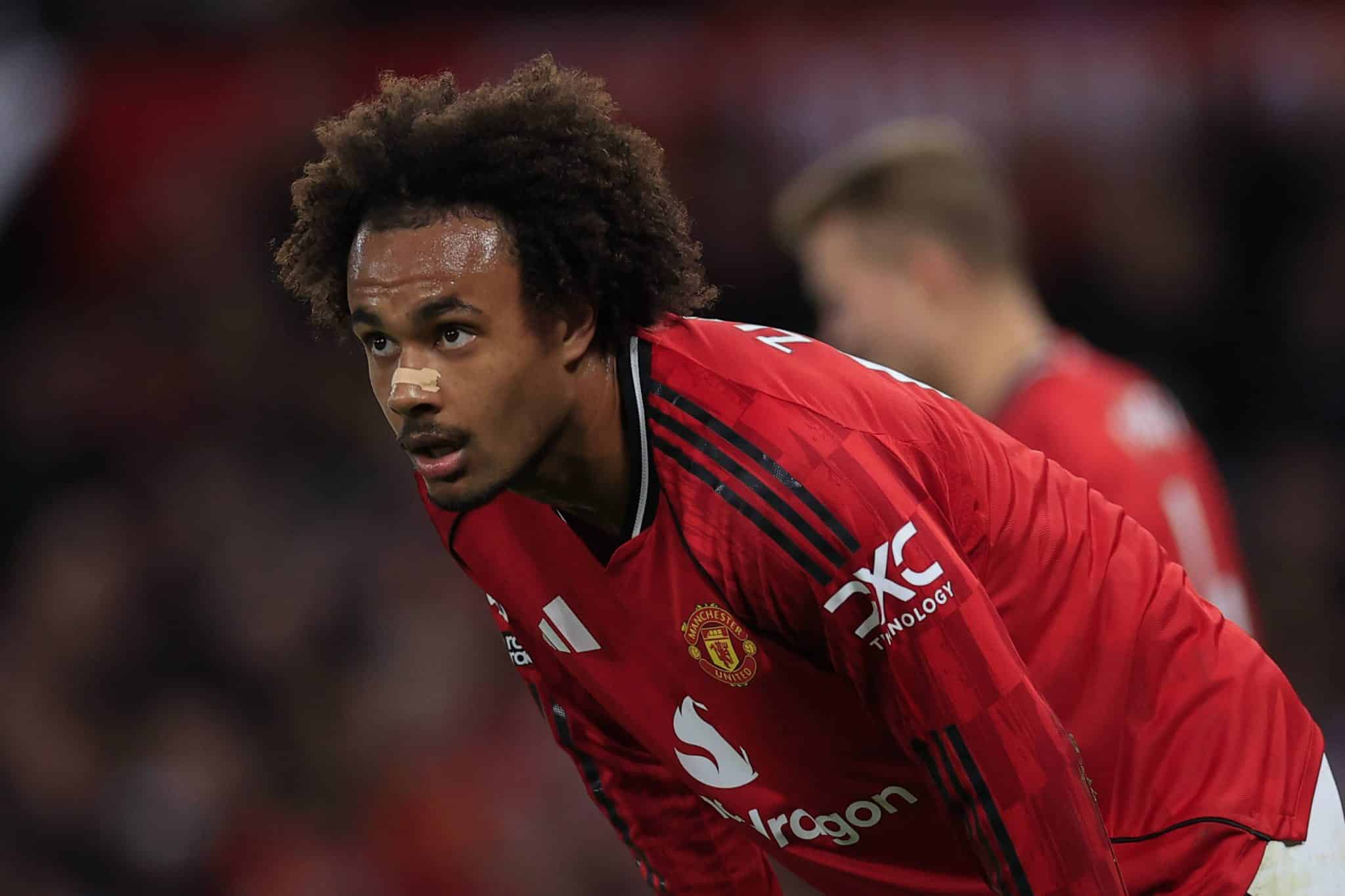 Joshua Zirkzee, atacante do Manchester United 