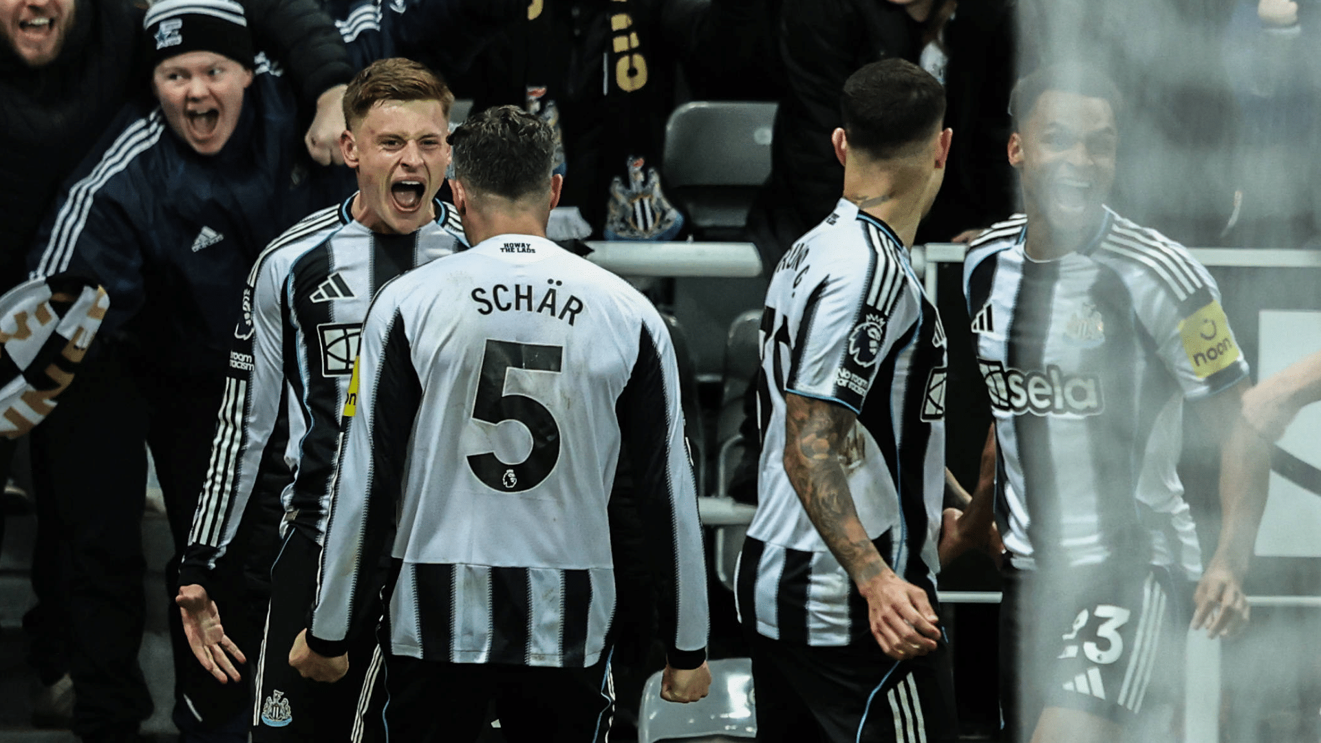 Barnes comemora gol em Newcastle x City