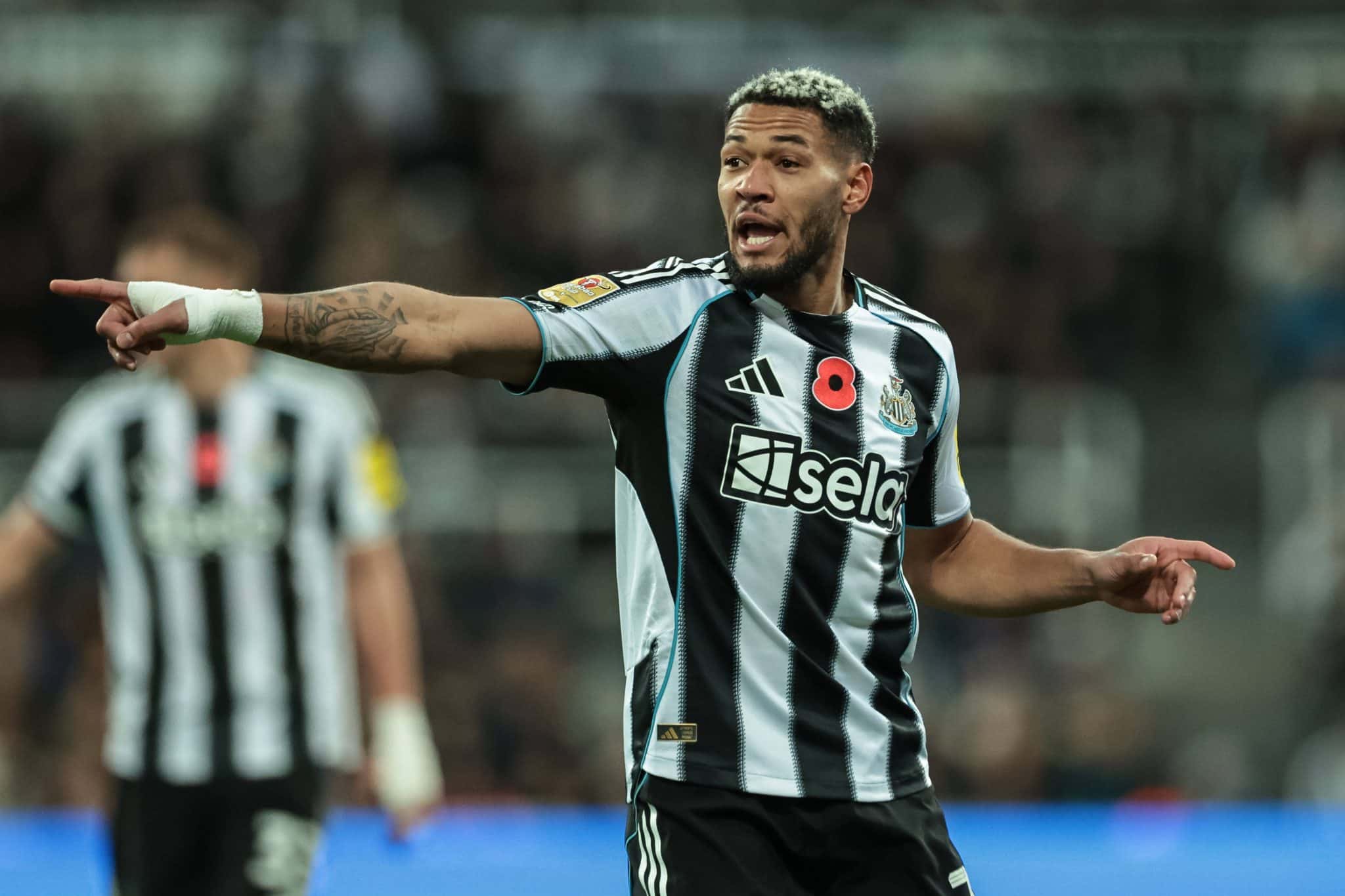 Newcastle cogita substituto para Joelinton e tem brasileiro avaliado em R$ 382 milh&otilde;es na mira