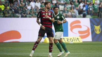 &lsquo;Flamengo x Palmeiras superou Boca x River como grande cl&aacute;ssico da Am&eacute;rica do Sul&rsquo;