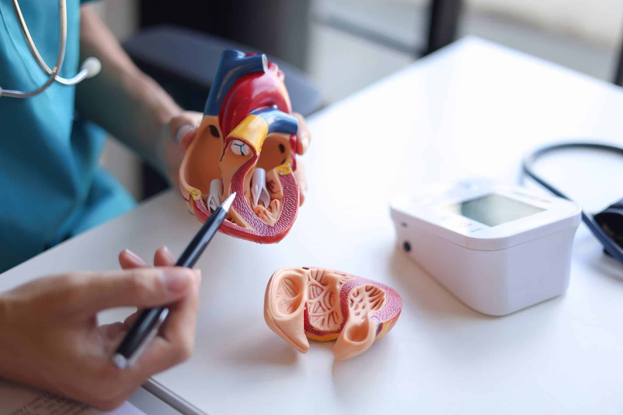 Tratamento cardiovascular (Foto: IMAGO / Zoonar)