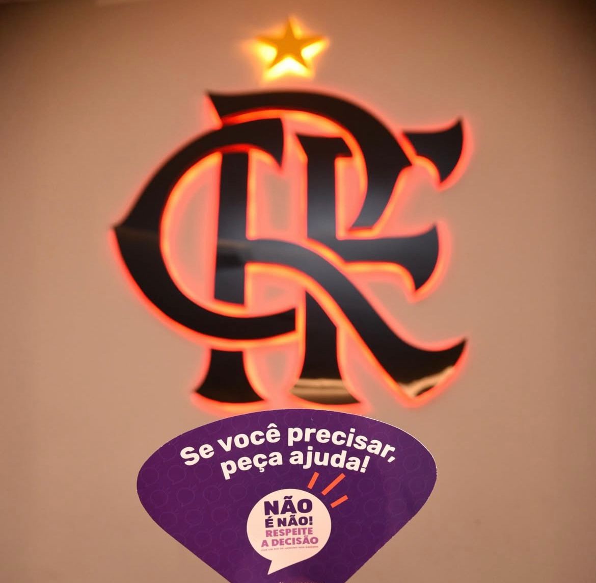 Secretaria da Mulher do Rio de Janeiro e Bancada Feminina do Conselho Deliberativo do Flamengo em campanha debater viol&ecirc;ncia contra as mulheres (Foto: Reprodu&ccedil;&atilde;o/Instagram)