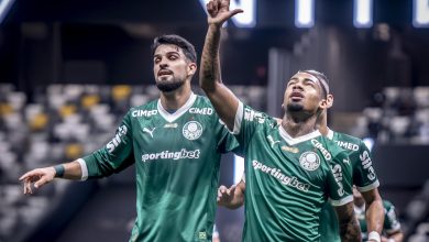 &Uacute;ltimo suspiro do Palmeiras no Brasileir&atilde;o mostra o que deu certo e errado em 2025
