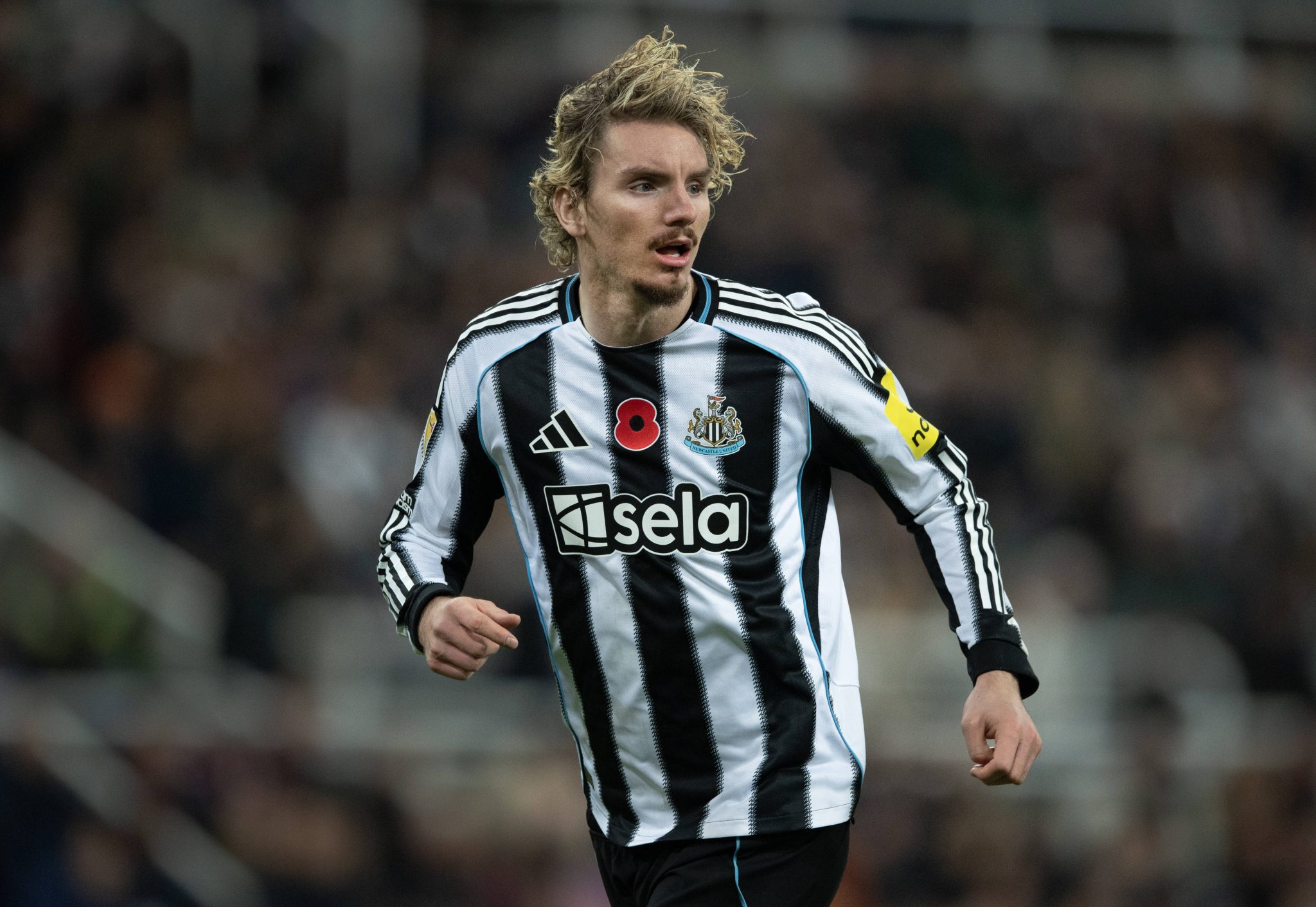 Woltemade em a&ccedil;&atilde;o pelo Newcastle