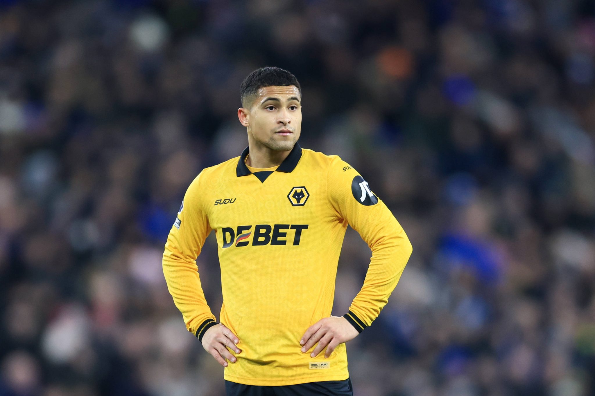 Jo&atilde;o Gomes em a&ccedil;&atilde;o pelo Wolverhampton 