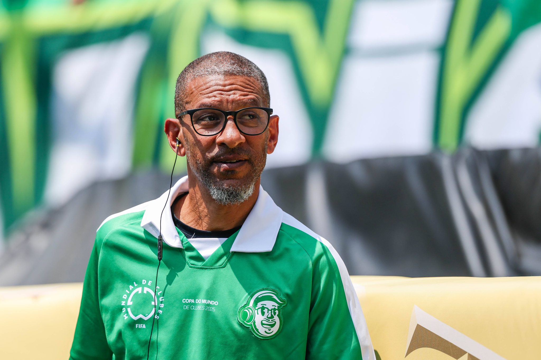 Palmeiras vs. Botafogo match at the Club World Cup